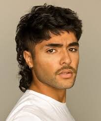 mullet