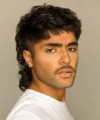 mullet